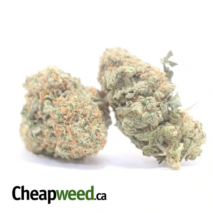 G COOKIES 3 I Grape Cookies