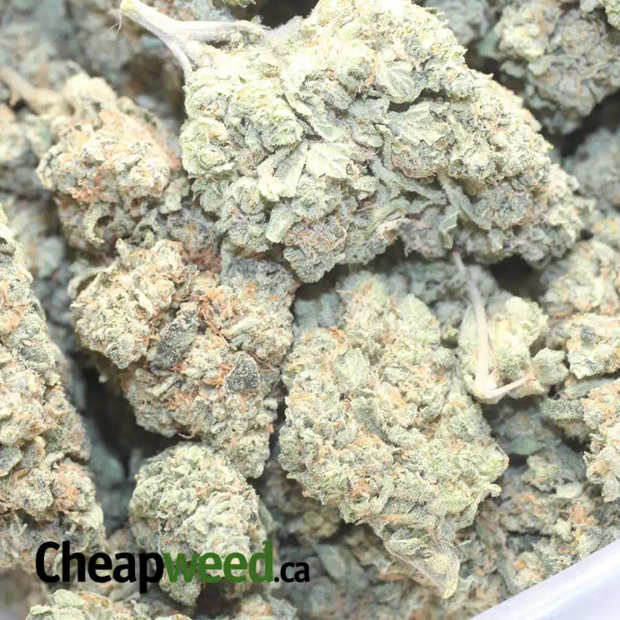 HUCKLEBERRY 1 I $59 Oz - Huckleberry