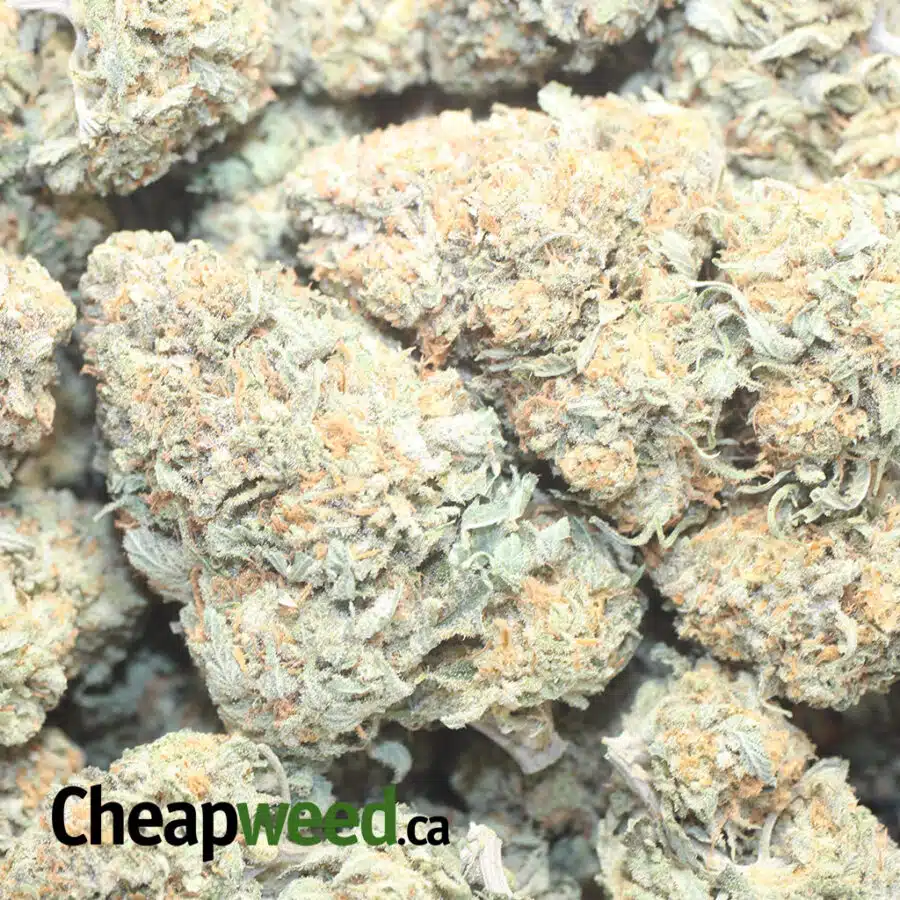 JFUEL 1 I $ 71 Oz - Jetfuel