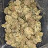 Jungle Breath