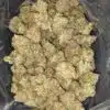 Jungle Breath