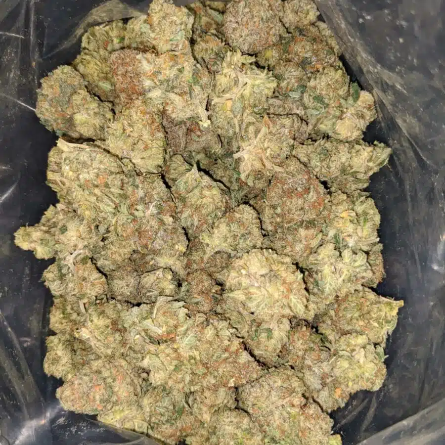 Jungle Breath
