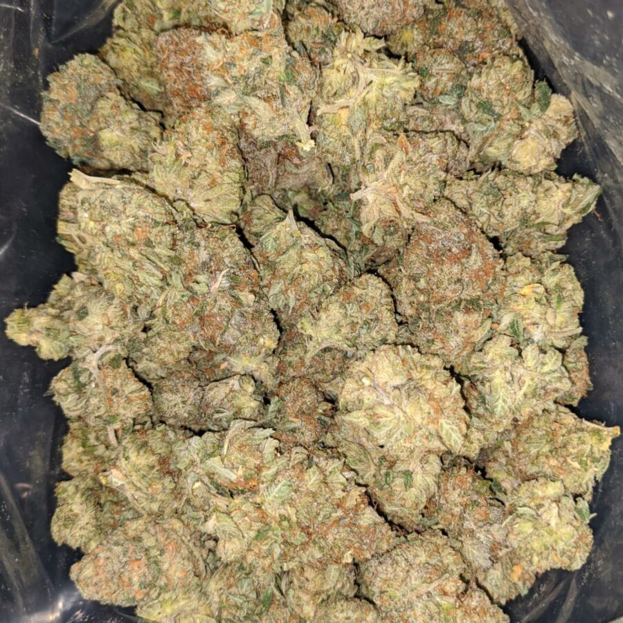 Jungle Breath - Image 2