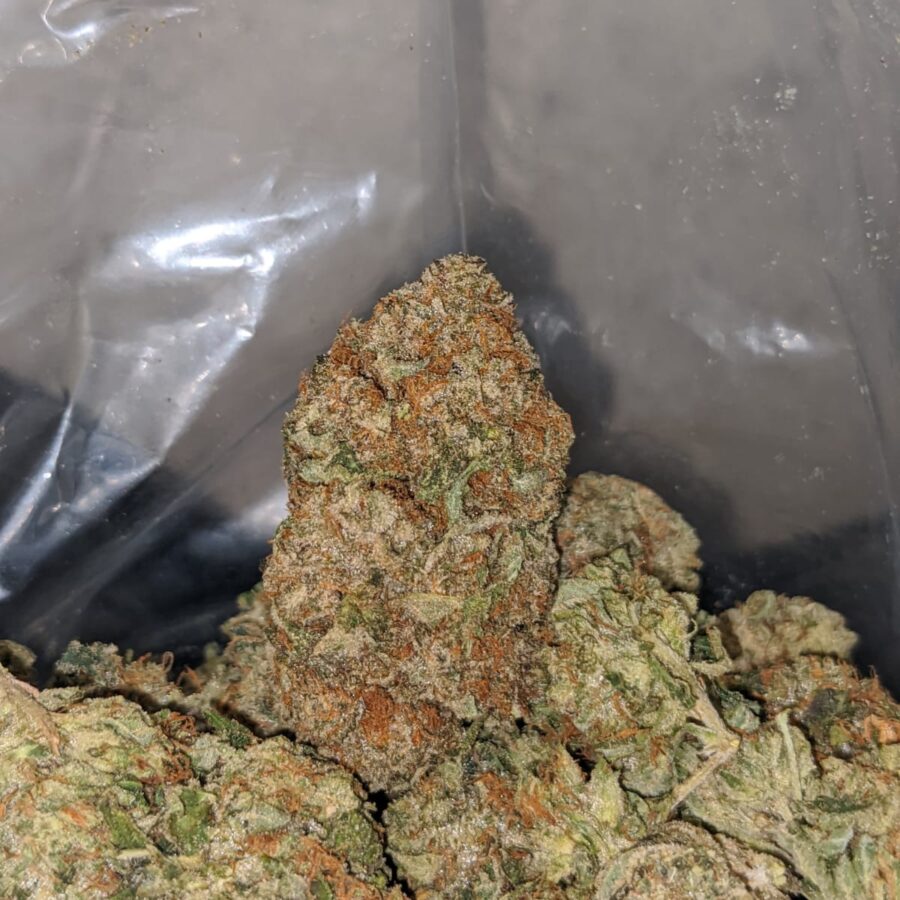 Jungle Breath - Image 5