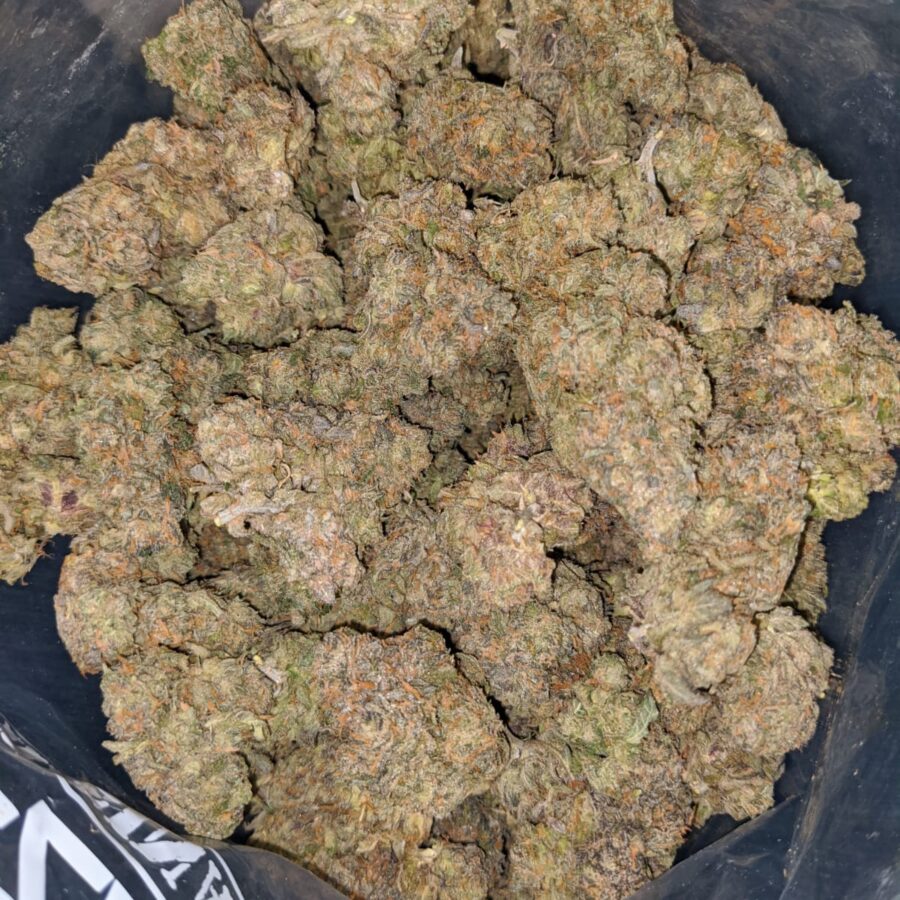 Mimosa Champagne