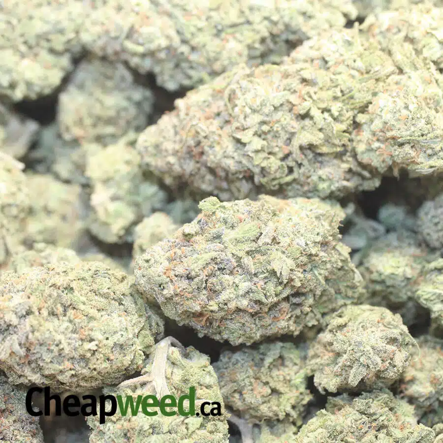 NUKEN 1 I $ 71 Oz - Nuken
