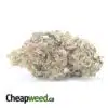 Purple Jetfuel