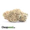 Pineapple - *Deal of the Day*
