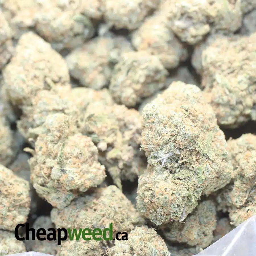 PLAT CHZ CAKE 1 I $ 71 Oz - Platinum Cheesecake