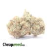 Red Berry - *Deal Of The Day*