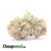 Red Berry - *Deal Of The Day*