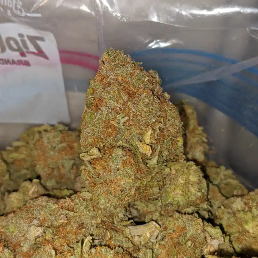 SUPER PINK 3 I $ 68 Oz - Seattle Cough