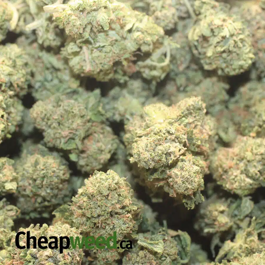 T RSKB 1 I $ 66 Oz - Rockstar Bubba