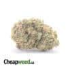 $ 66 Oz - Rockstar Bubba