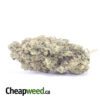 Tony's Death Bubba #2