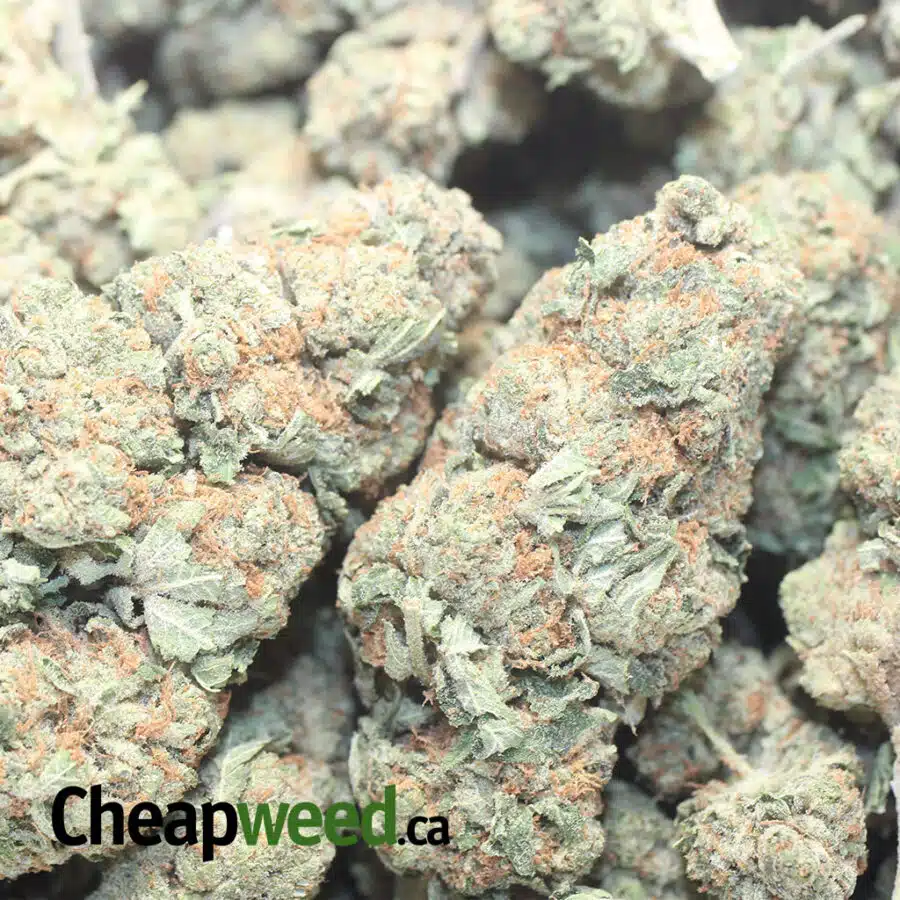 VORTEX 1 I $69 Oz - Vortex