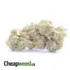 $69 Oz - Vortex