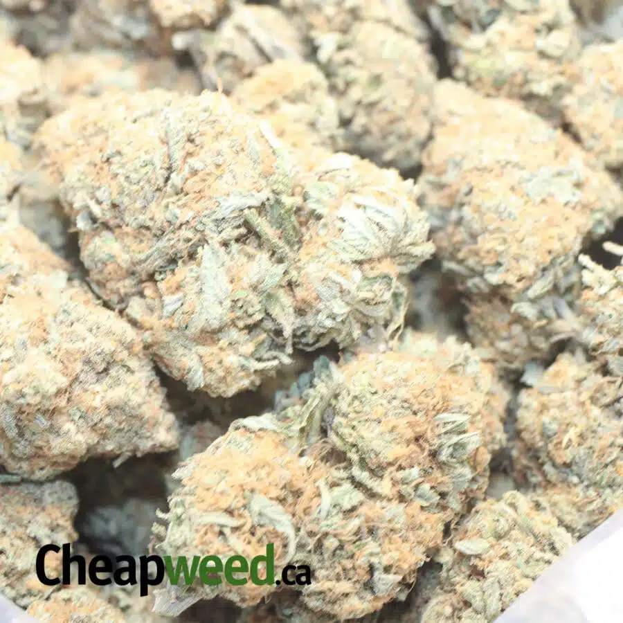 W CRASHERS 1 I $ 64 Oz - Wedding Crashers