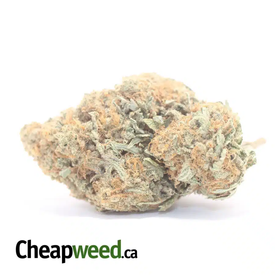 $ 64 Oz - Wedding Crashers