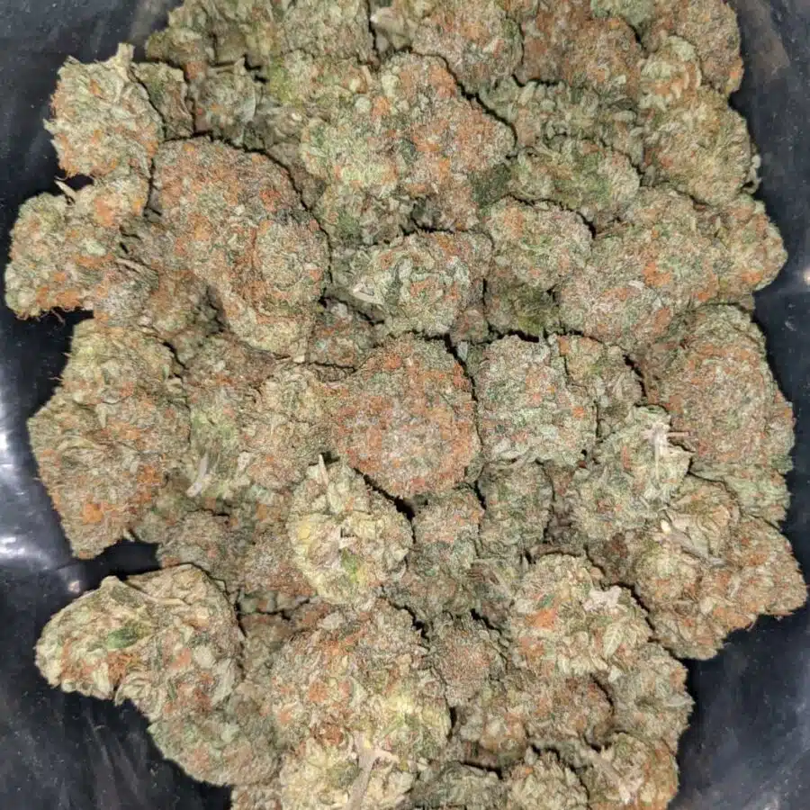 banana kush 1 I Banana Kush