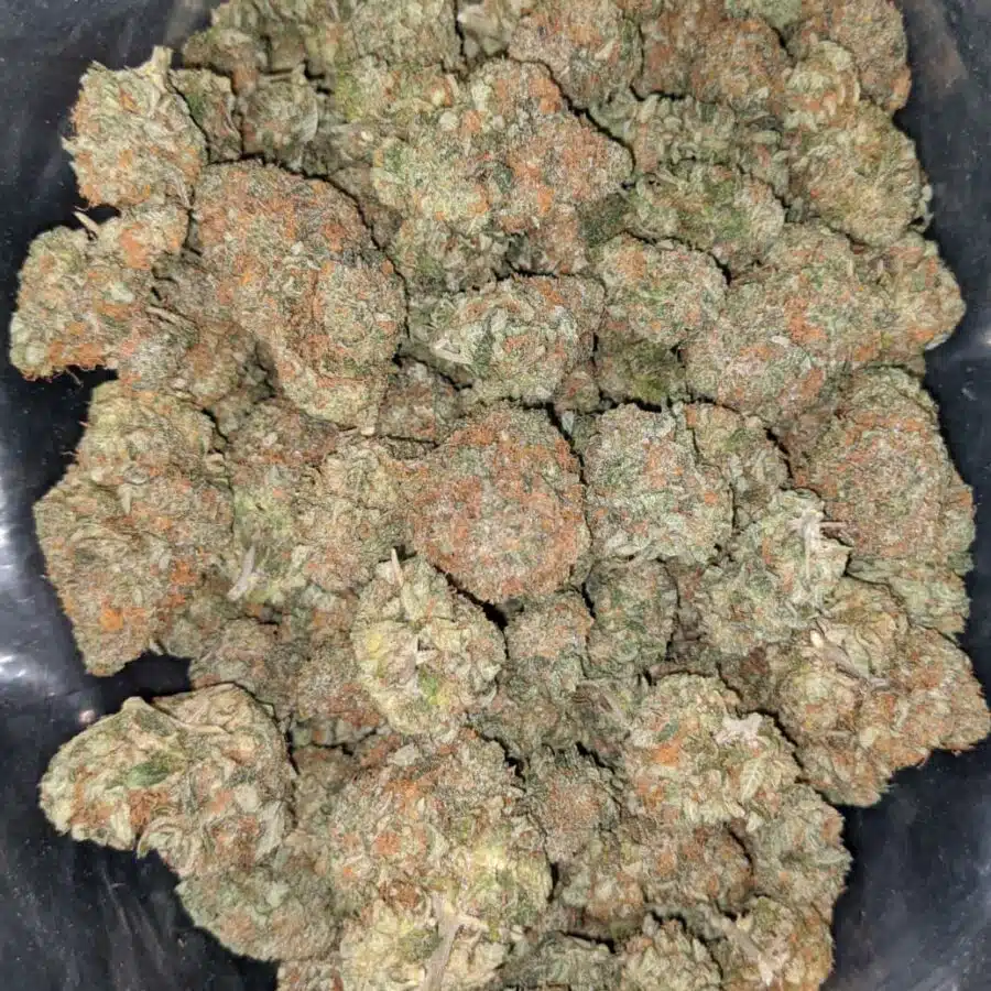 banana kush 2 I Banana Kush