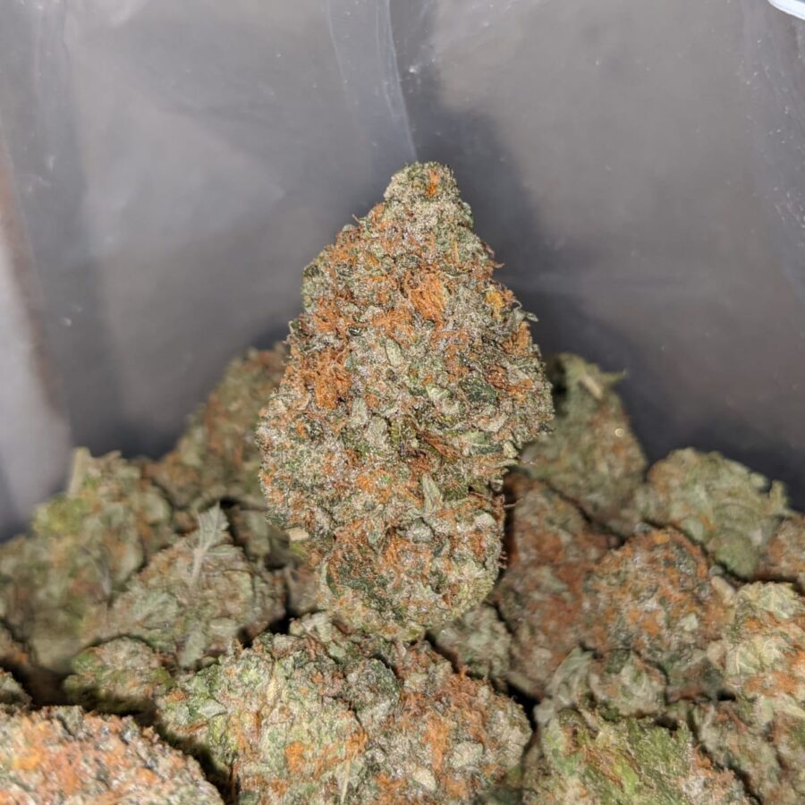 banana kush 4 I Banana Kush