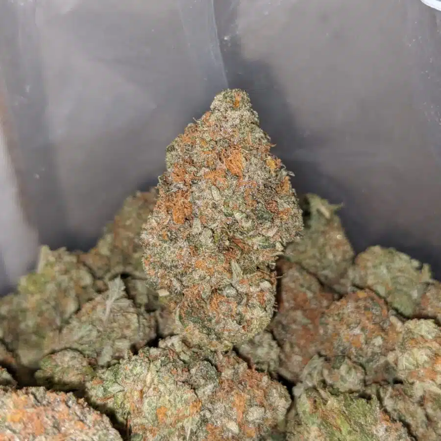 banana kush 4 I Banana Kush