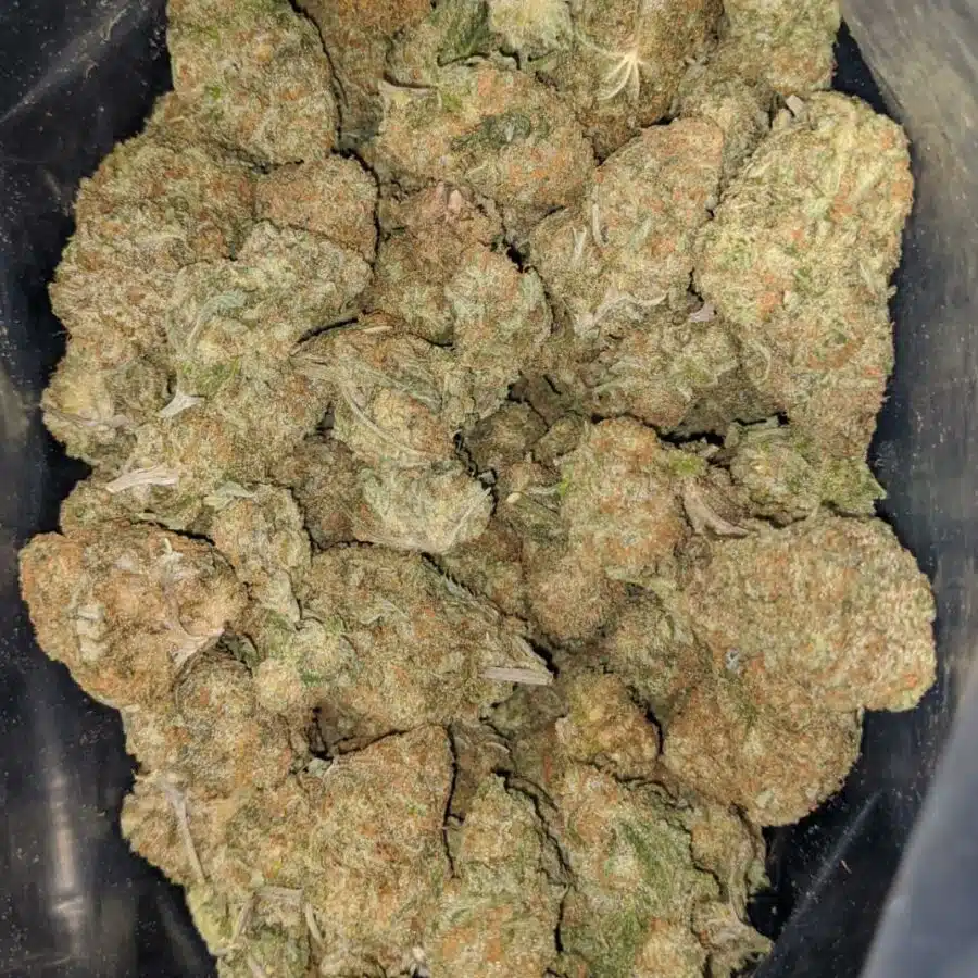 blue hawaiian 2 I $ 66 Oz - Blue Hawaiian