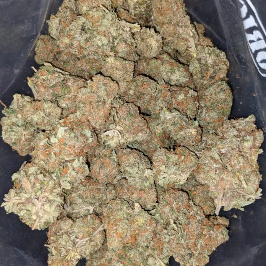 columbian gold 2 I Columbian Gold