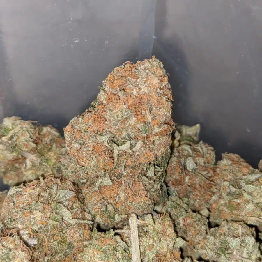 cookie dough 3 I $59 Oz - Cookie Dough