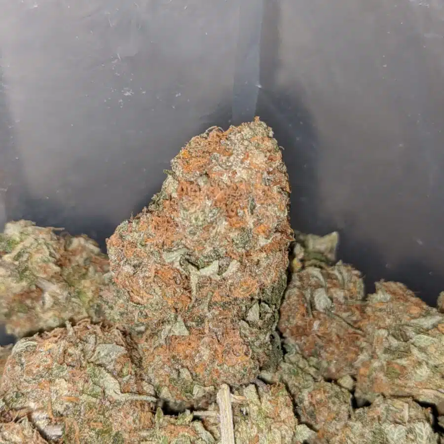 cookie dough 4 I $59 Oz - Cookie Dough