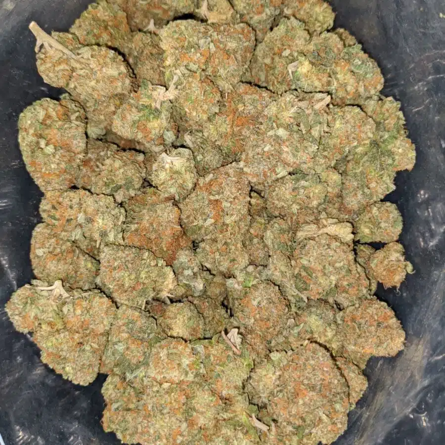 cookie monster 1 I $64 Oz - Cookie Monster