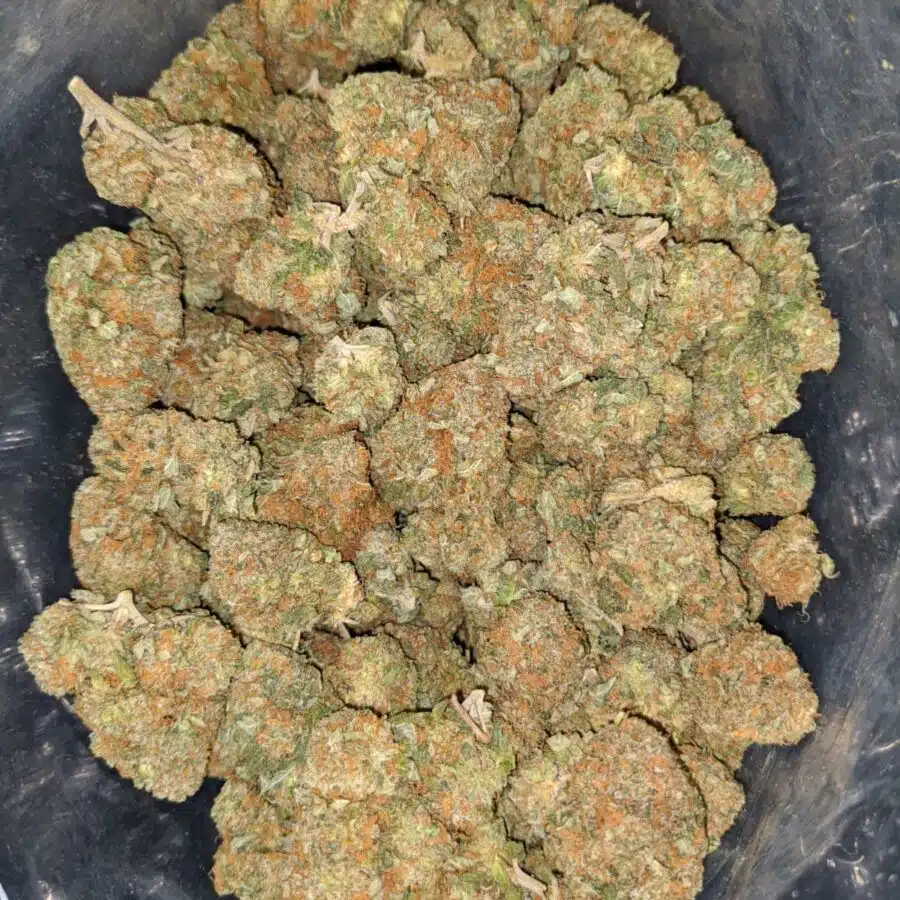 cookie monster 2 I $64 Oz - Cookie Monster