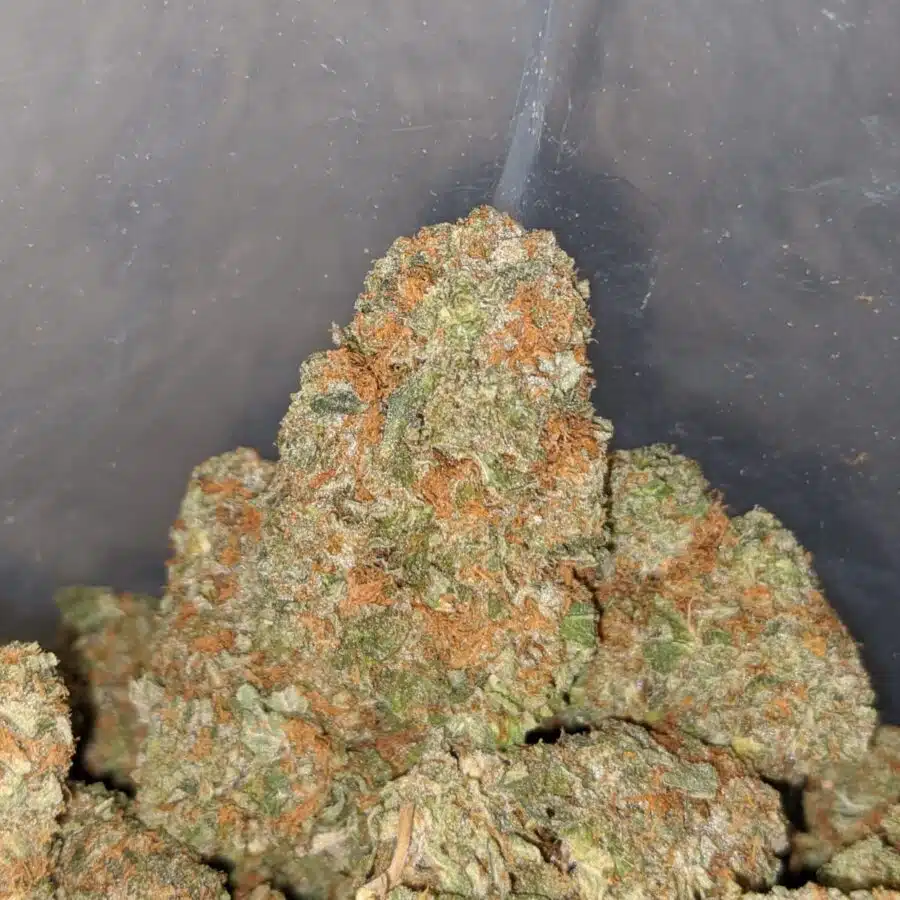 cookie monster 3 I $64 Oz - Cookie Monster