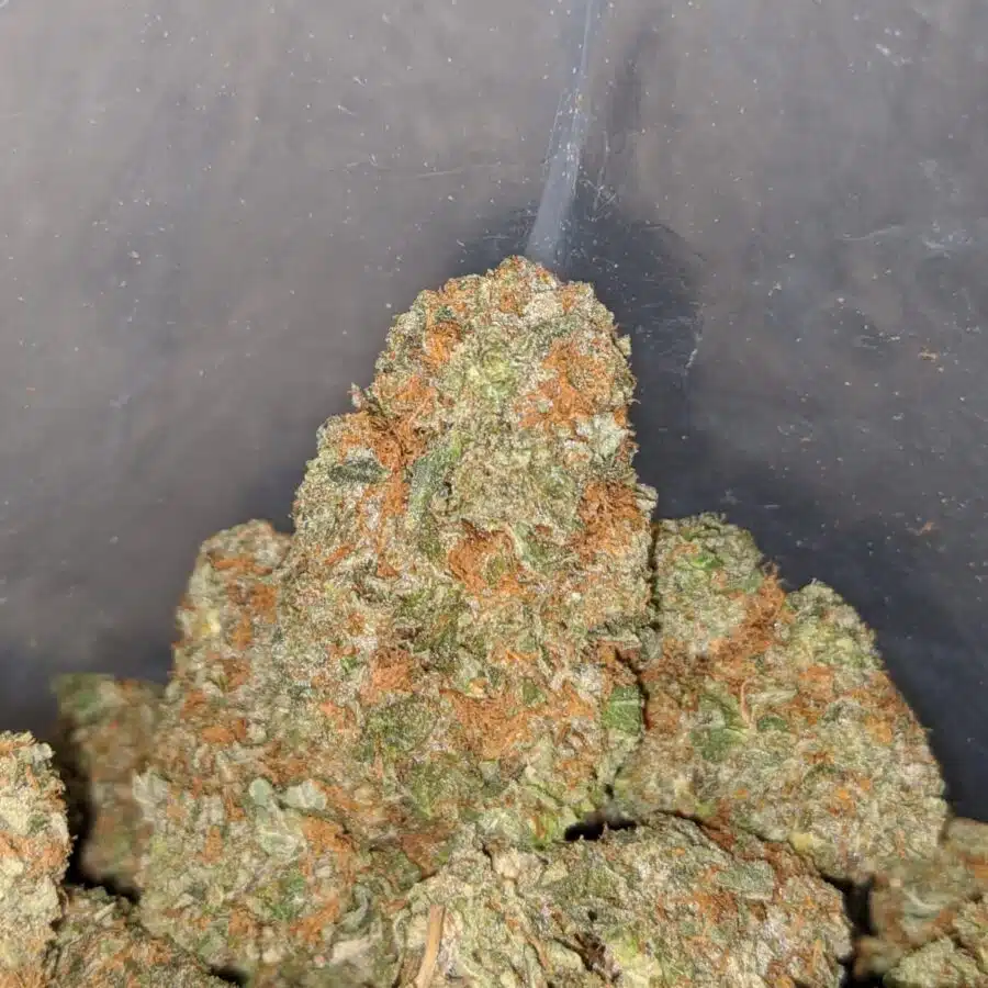 cookie monster 4 I $64 Oz - Cookie Monster