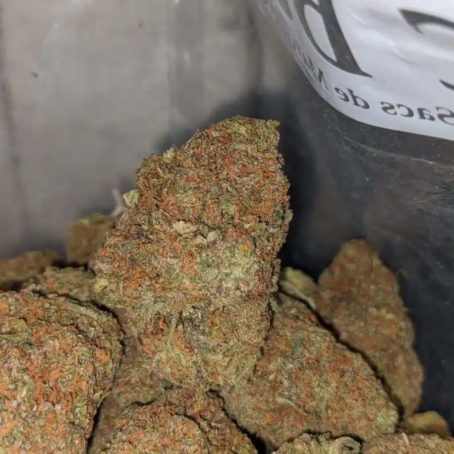 gelato ape 2 I Gelato Grape