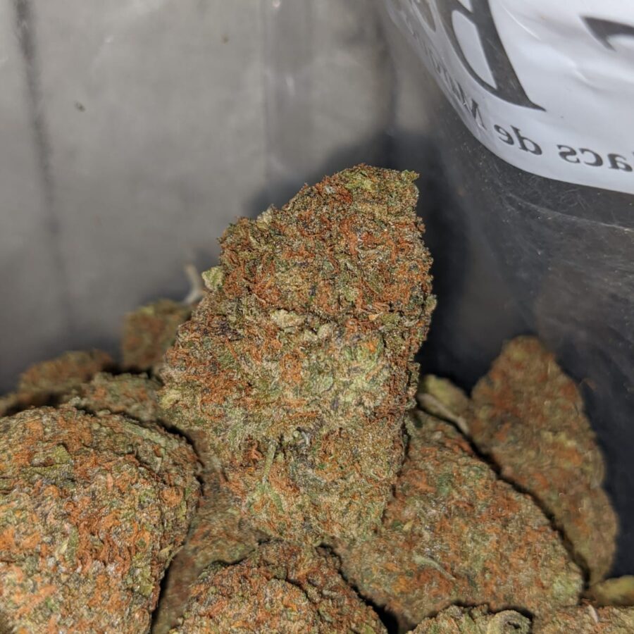 Gelato Grape - Image 4