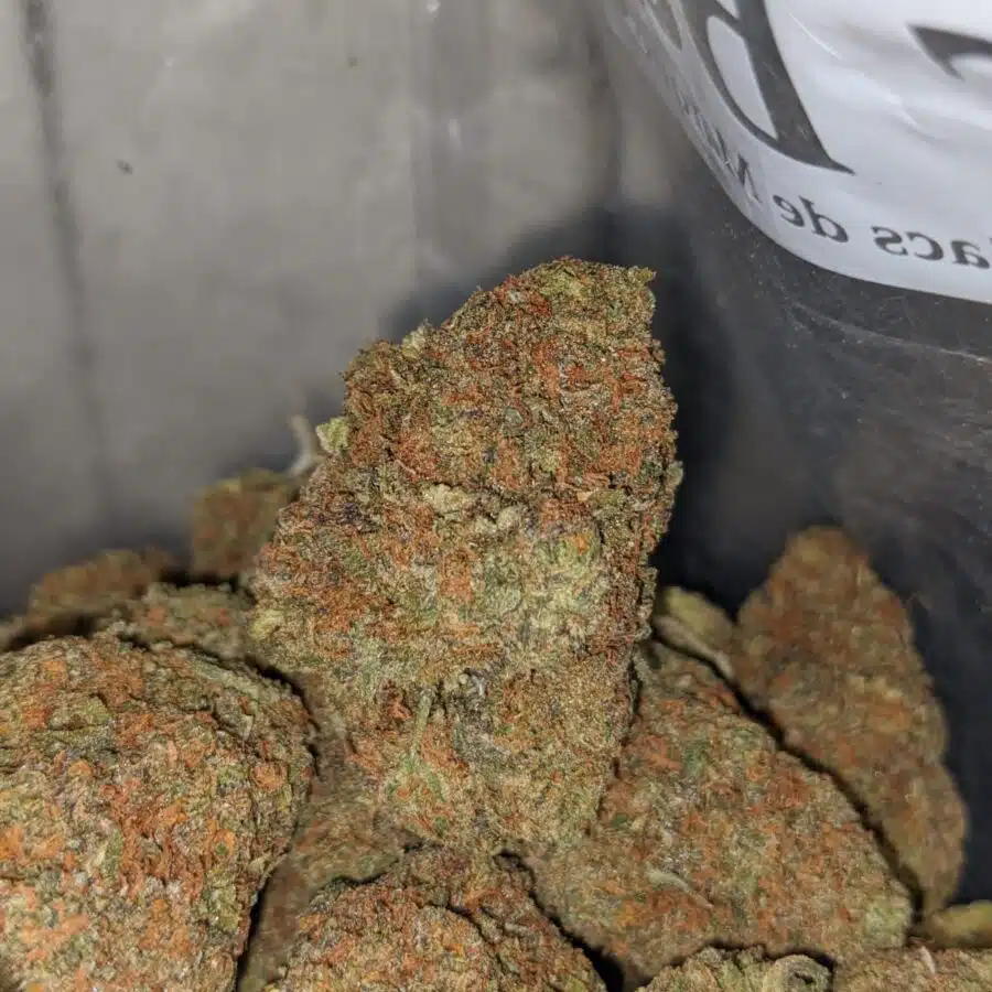 gelato ape 3 I Gelato Grape
