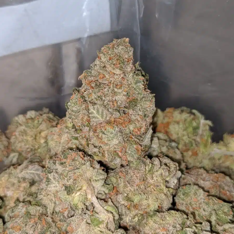 grape cookies 3 I Grape Cookies