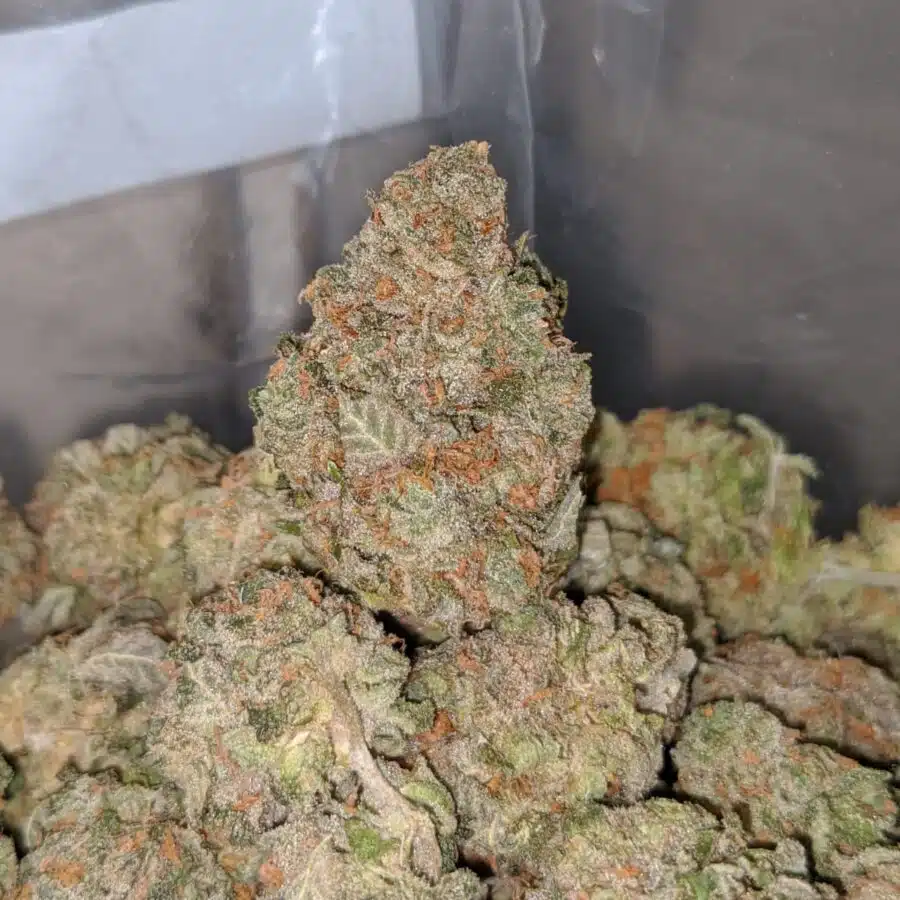 grape cookies 4 I Grape Cookies
