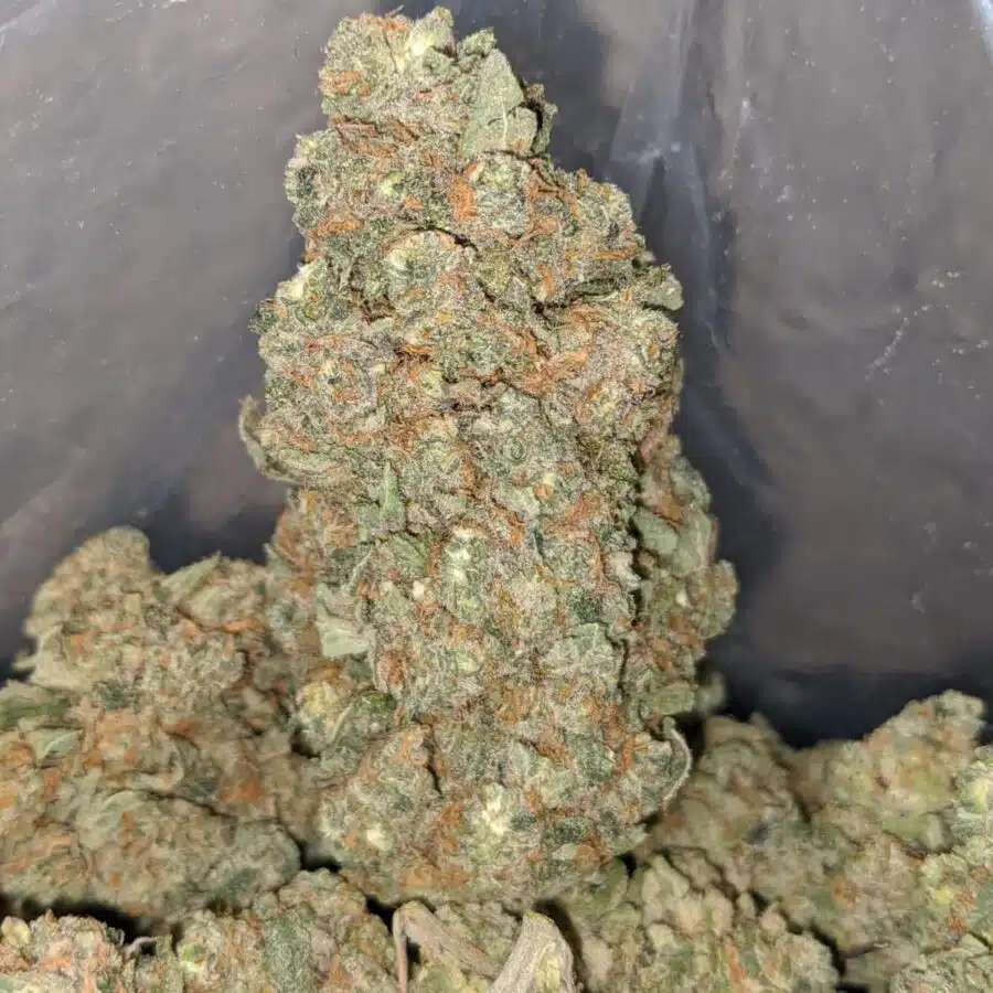 huckleberry 3 I $59 Oz - Huckleberry