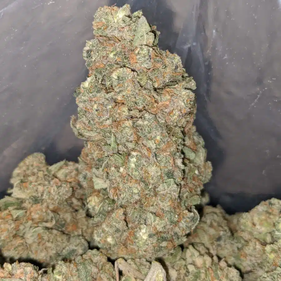 huckleberry 4 I $59 Oz - Huckleberry