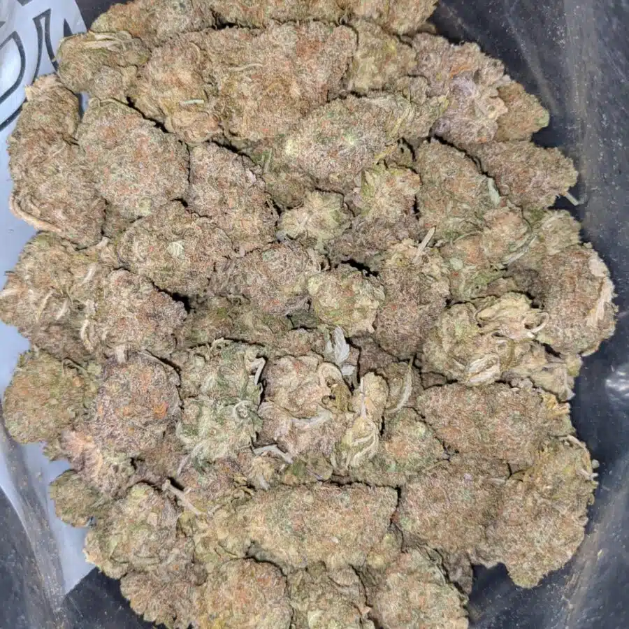 island maui haze 1 I Island Maui Haze