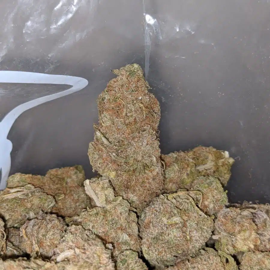 island maui haze 2 I Island Maui Haze
