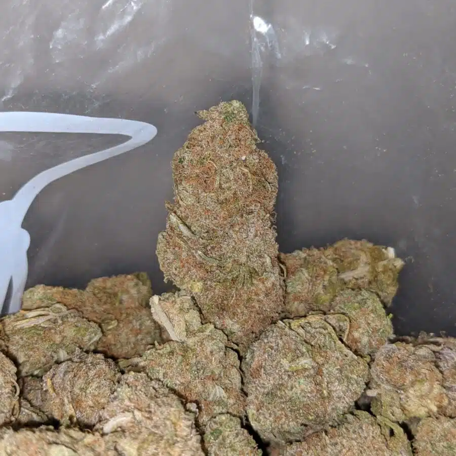 island maui haze 3 I Island Maui Haze