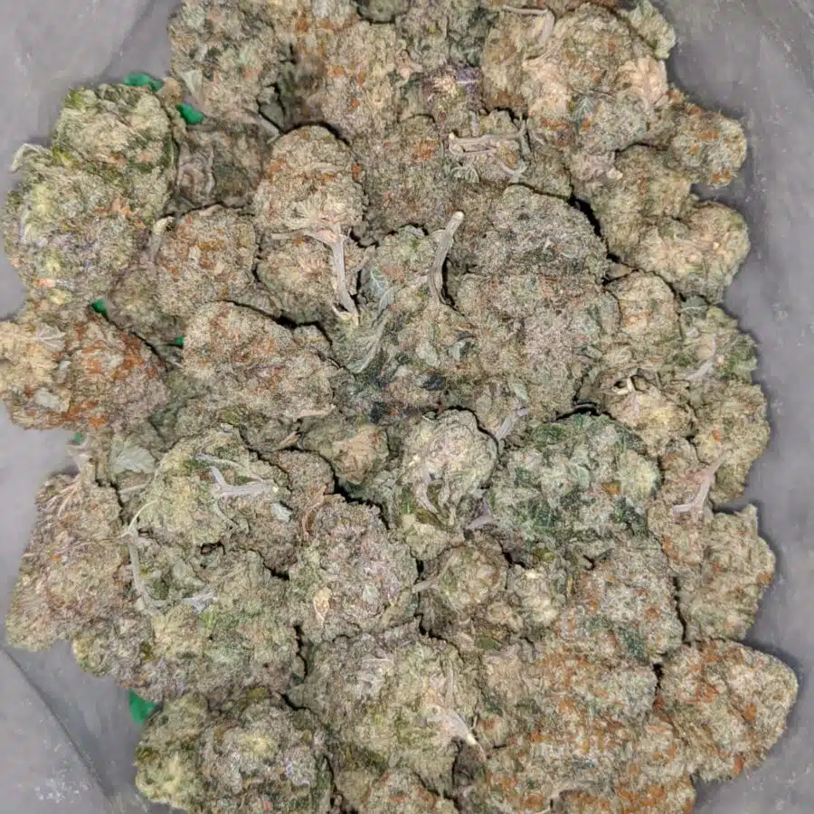 jungle breath deal of the day 2 I Jungle Breath - *Deal Of The Day*