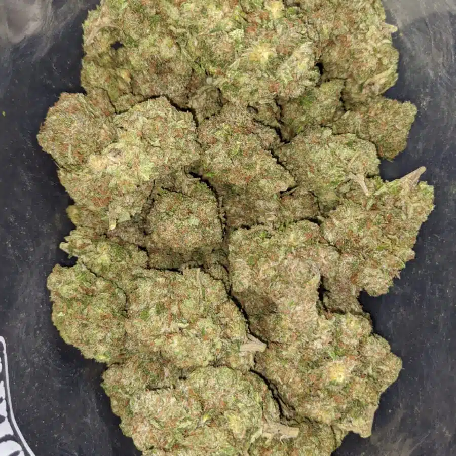 kings kush 3 I Kings Kush