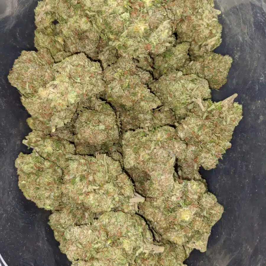 kings kush 4 I Kings Kush
