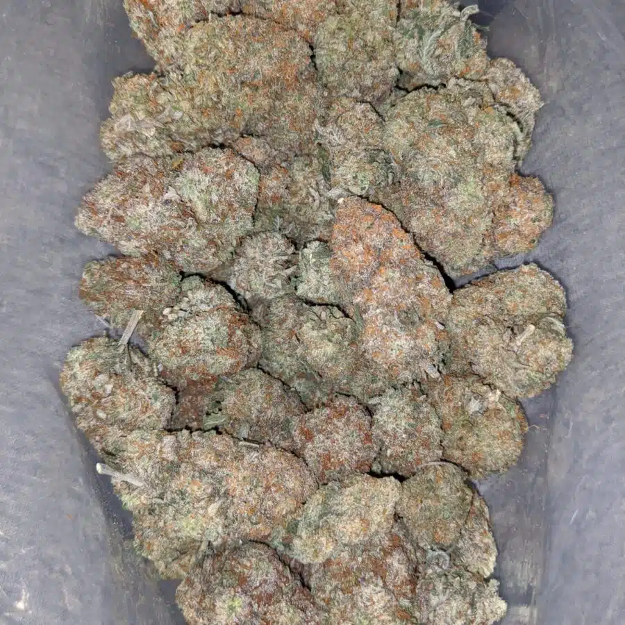 lemon candy 2 I $ 68 Oz - Lemon Candy