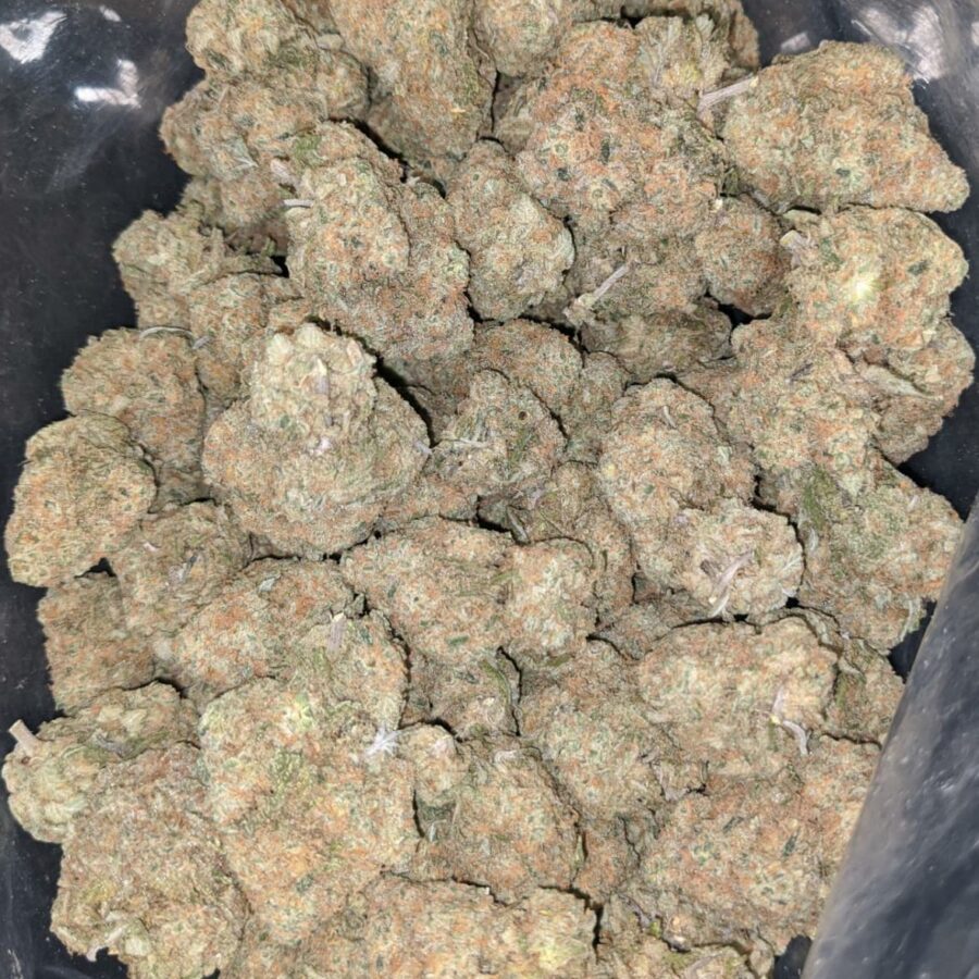 platinum cheese cake 1 I Platinum Cheesecake
